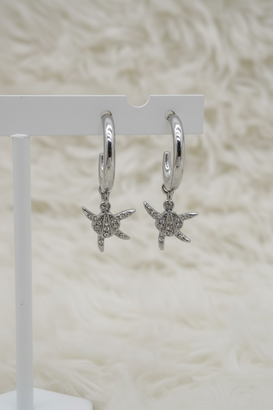 BOUCLES D'OREILLES LUNA